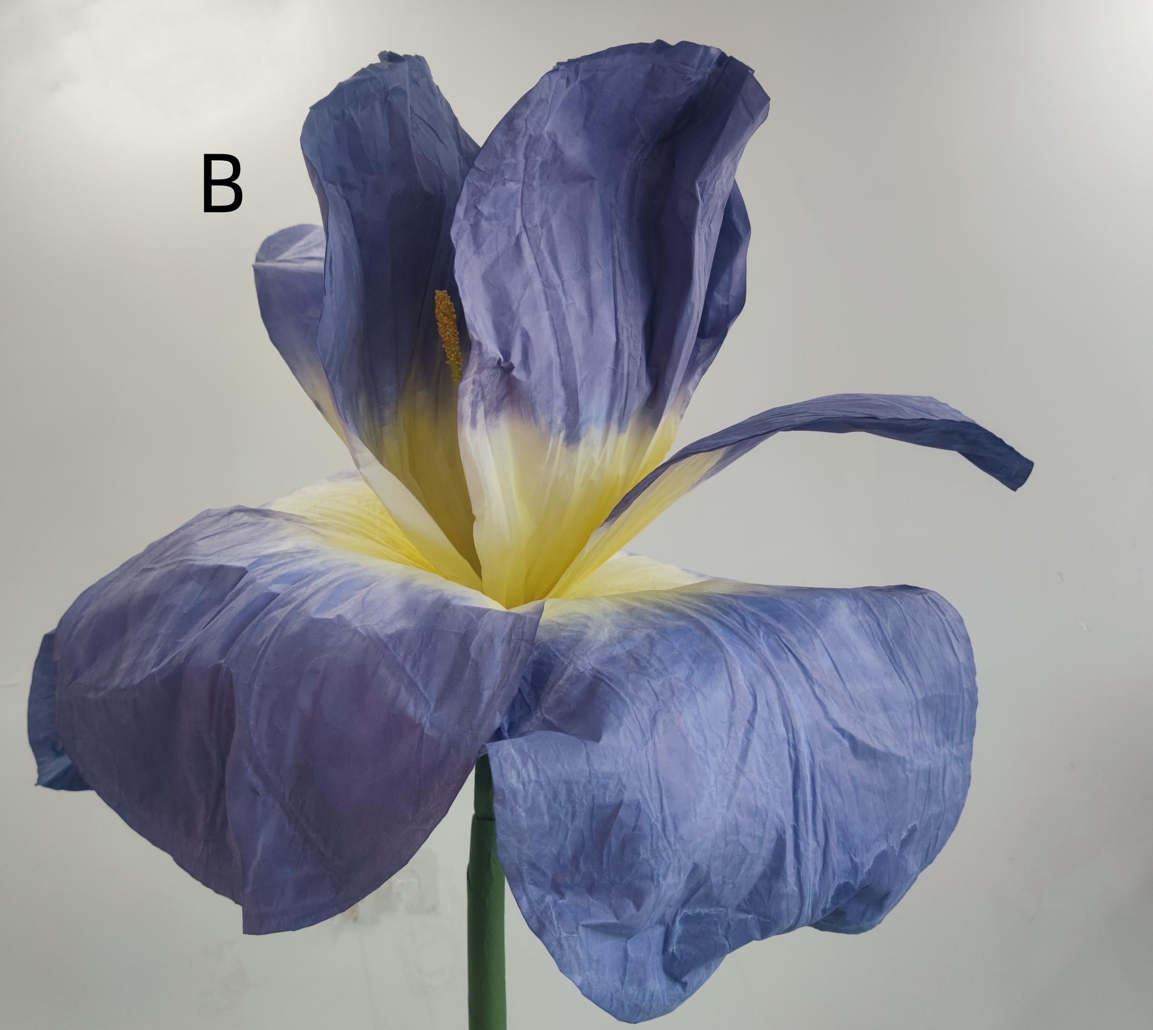 Large Artificial Flower Oversized Floral Decoration Realistic Faux Flower for Weddings and Events